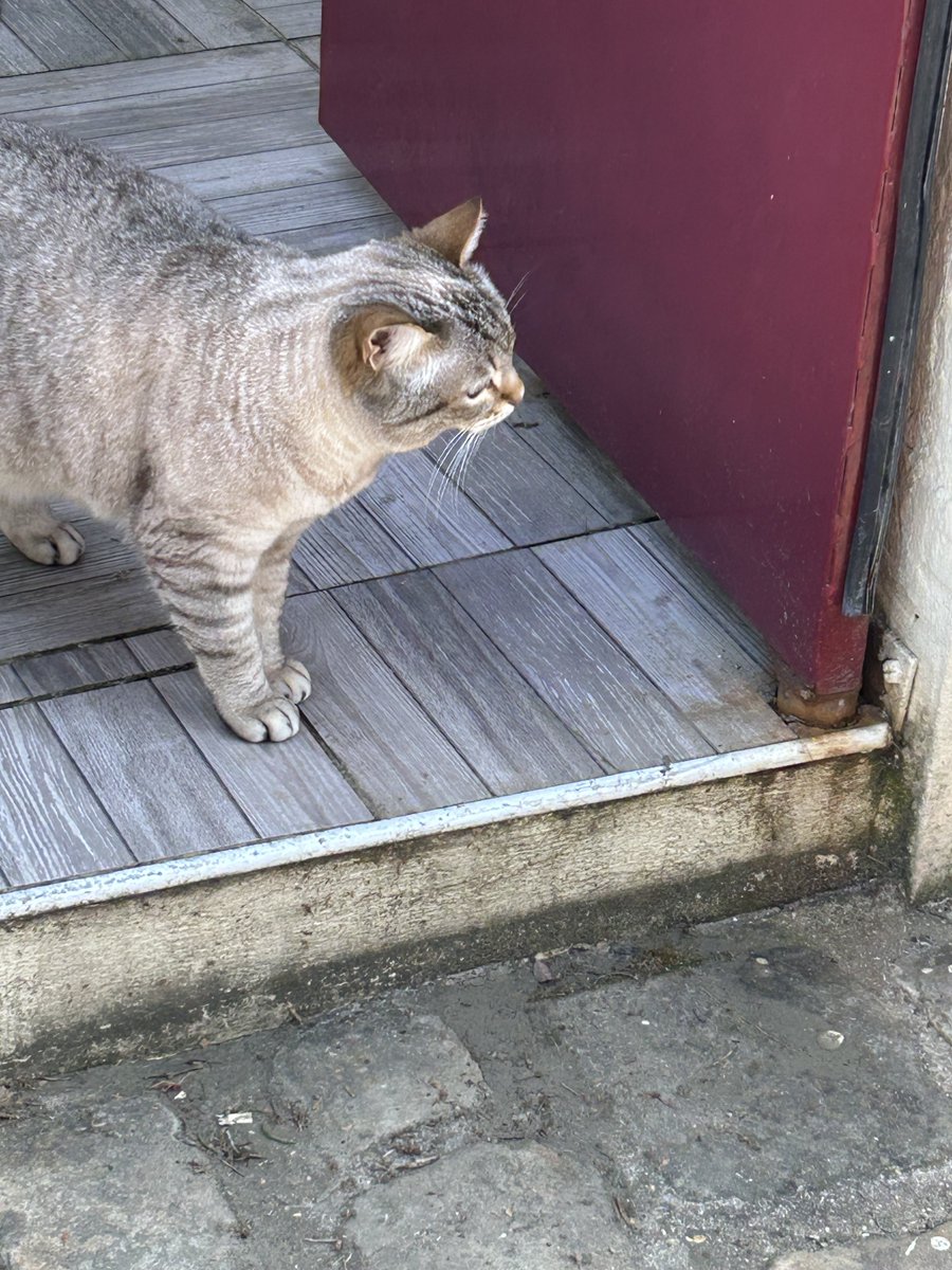ニキータ