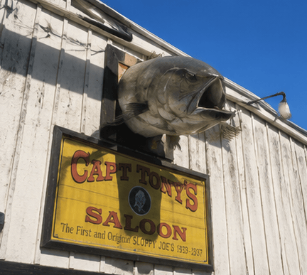 CityQuestAdv's tweet photo. Had a great time in #KeyWest you don't know what you're missing if you have never experienced this place!
#GoodVibes #KeyWestFlorida #FloridaKeys #SouthernmostPoint #DuvalStreet #IslandLife #TropicalVibes #WalkingTour #CityQuestAdventures #SelfGuidedTour
https://t.co/FAHArnsqur https://t.co/vLMeYQsfT4