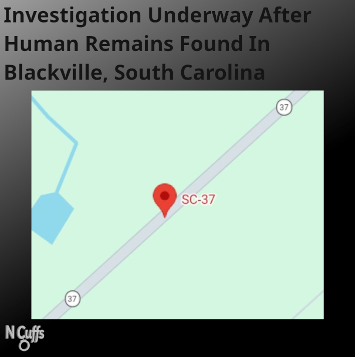 Investigation Underway After Human Remains Found In Blackville, South ...