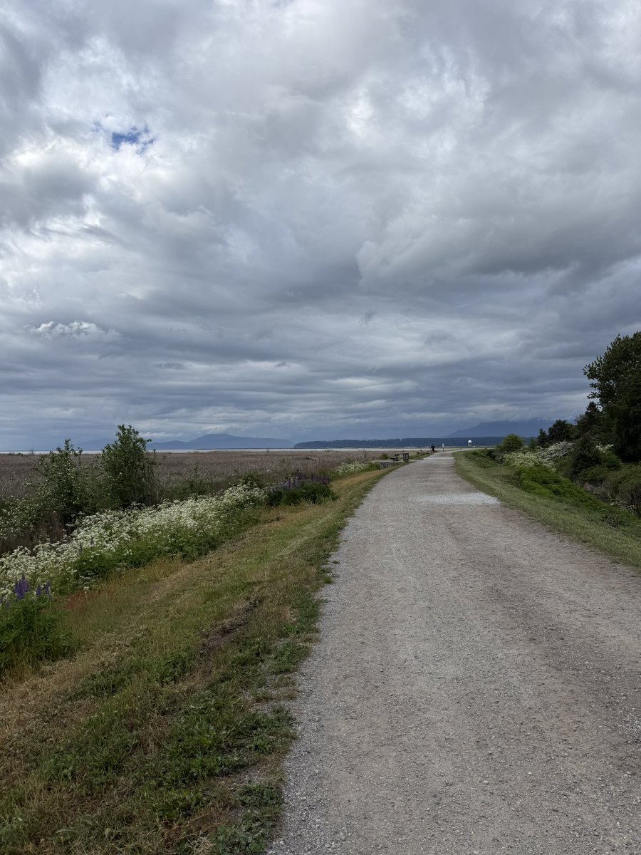 LynneNakashima's tweet photo. Afternoon run and view along the West Dyke Trail in #RichmondBC for Day 13 of the #WorkoutToConquerCancer!
Go Active Ingredients team!
We’re supporting @bccancerfdn ! To donate:
https://t.co/hxMiOHvWnQ
@WorkoutBC #WorkoutBC #WhyIWorkout https://t.co/OwDPDcRjNI