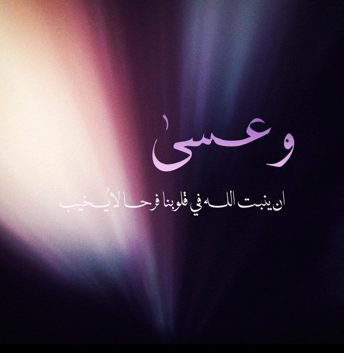 مـها tweet media