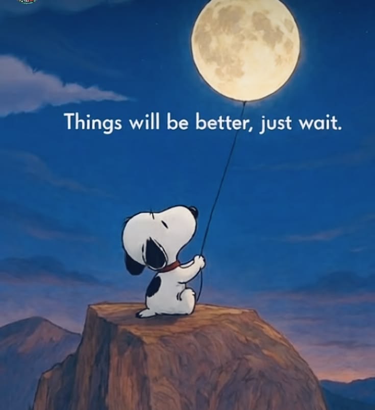 Snoopy 🐶 tweet media