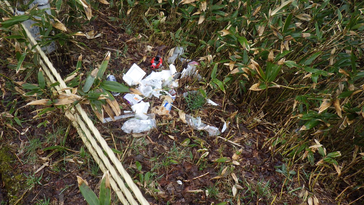 知床世界遺産センター tweet media