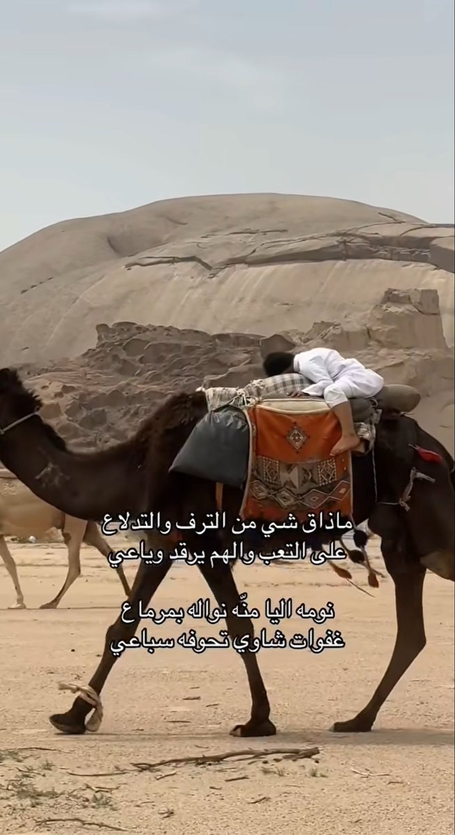 ᷂طـواريق 𝟐 tweet media