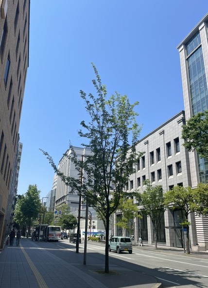 wellnesscolife's tweet photo. 久しぶりの投稿です

すっかり暖かく、、というより暑くなりましたね🌞

しっかり水分をとって、熱中症予防しましょうね🥤

日傘や日焼け止めも忘れずに😄

#睡眠 #認知機能 #老化対策 #物忘れ #記憶力 https://t.co/eGe8xMU5of
