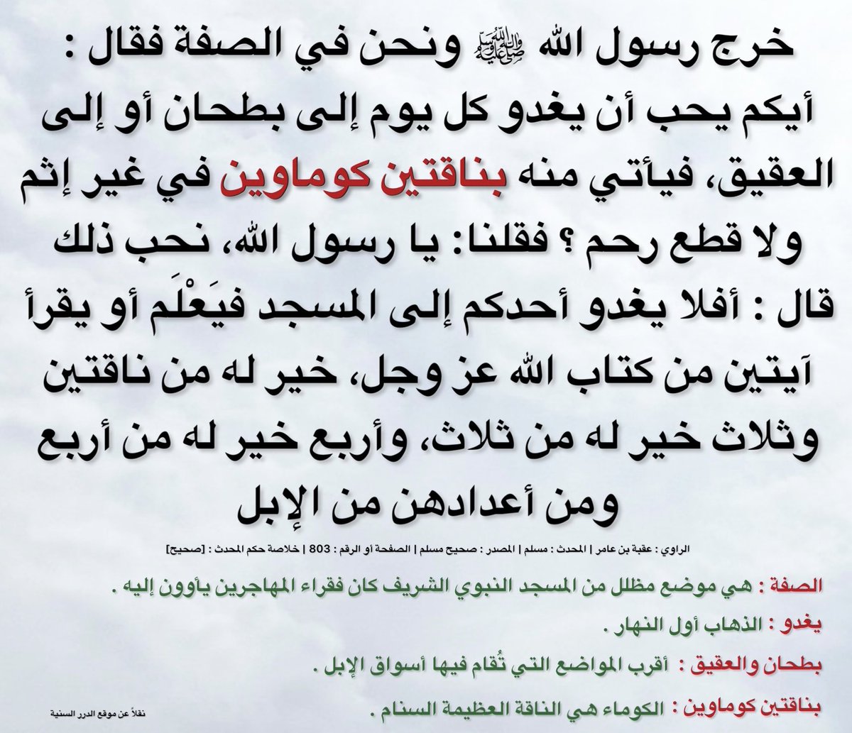 كنوز عظيمة tweet media
