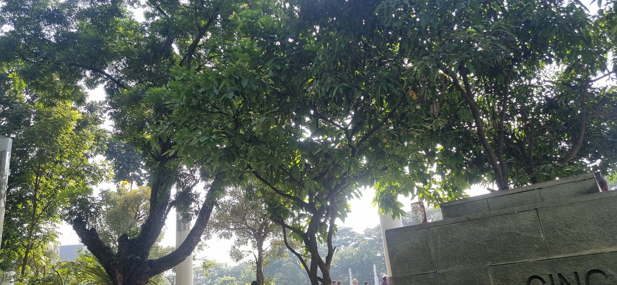 callme_ige's tweet photo. 🏃‍♂️🏃‍♂️🏃‍♂️ https://t.co/oIeR0AsHTQ