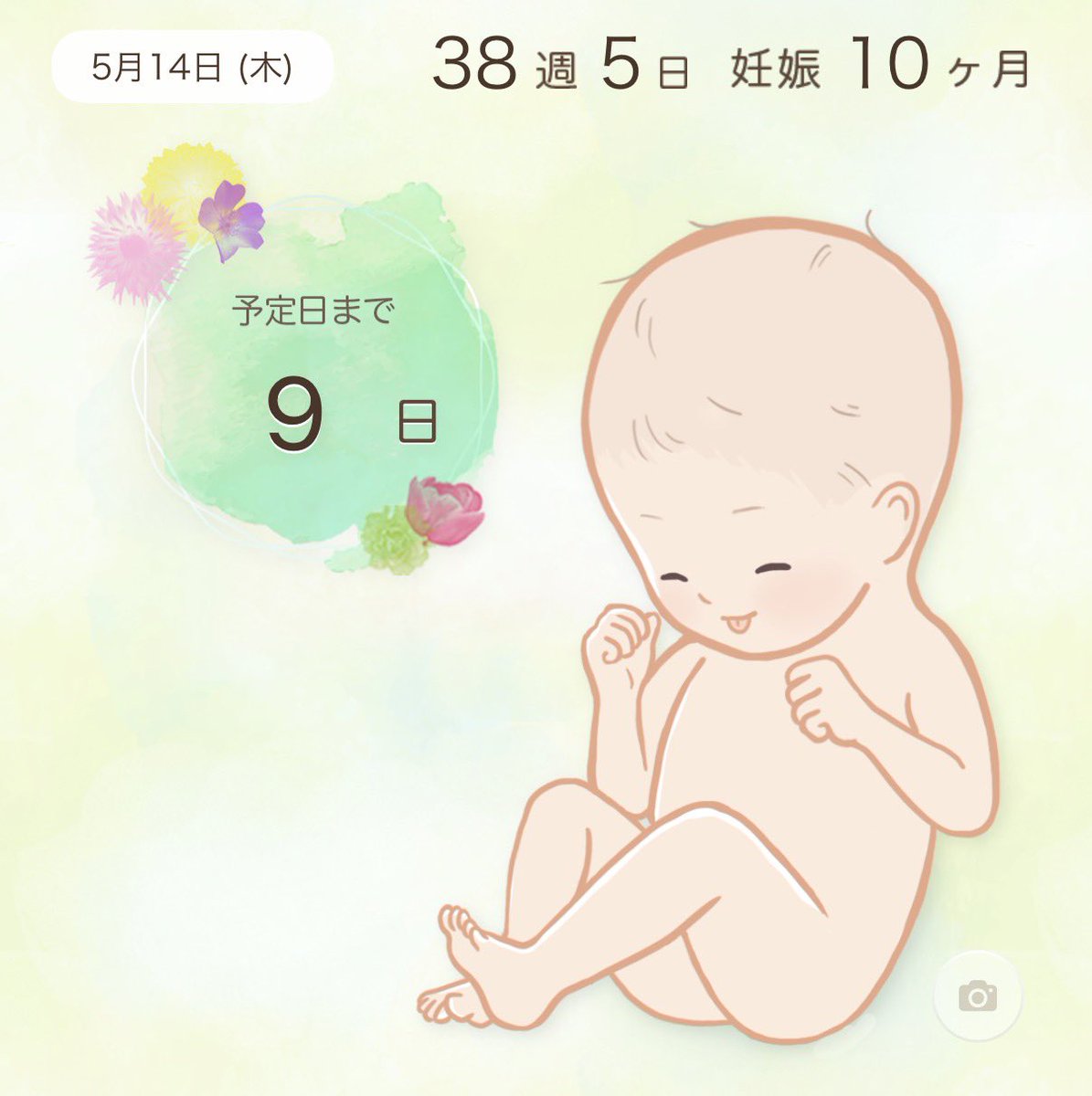 さく🎀38w tweet media