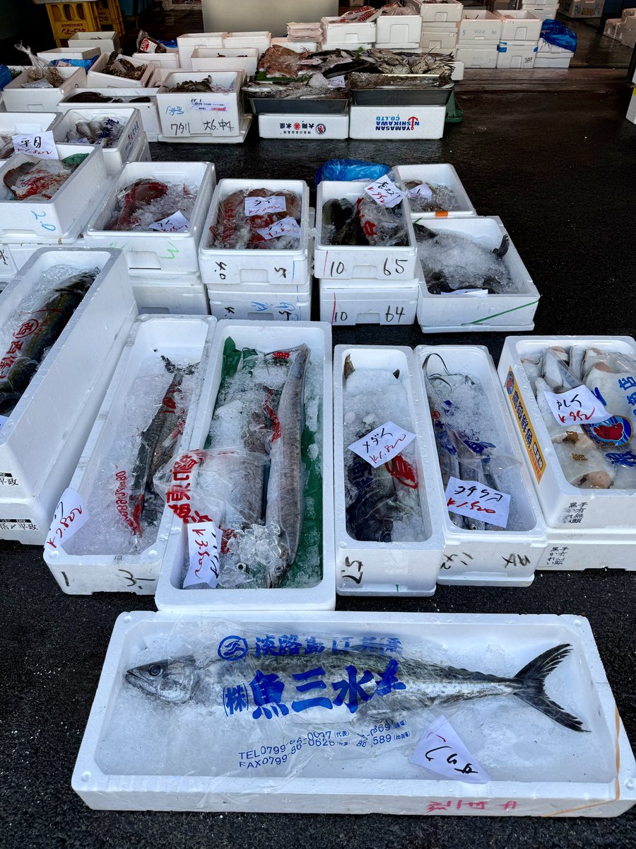 婦人(53) tweet media