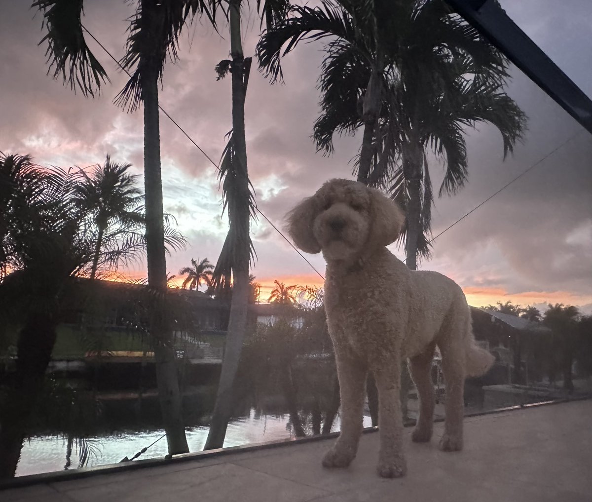 Tilly In Bloomington tweet media