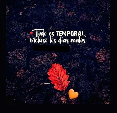 Pablo tweet media