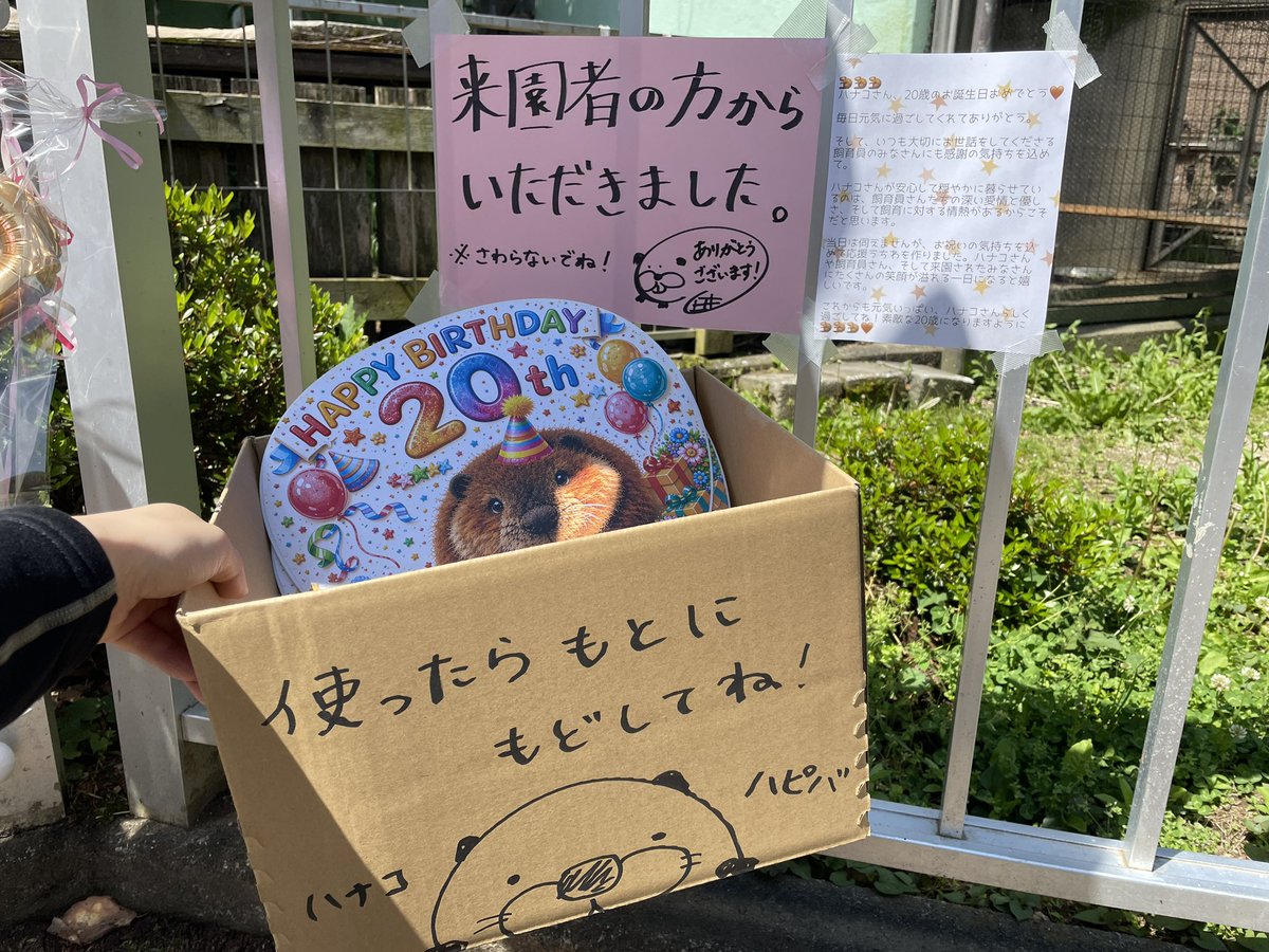 飯田市立動物園 【公式】 tweet media