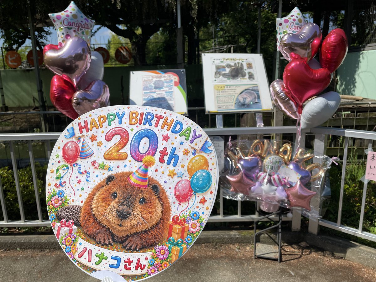 飯田市立動物園 【公式】 tweet media