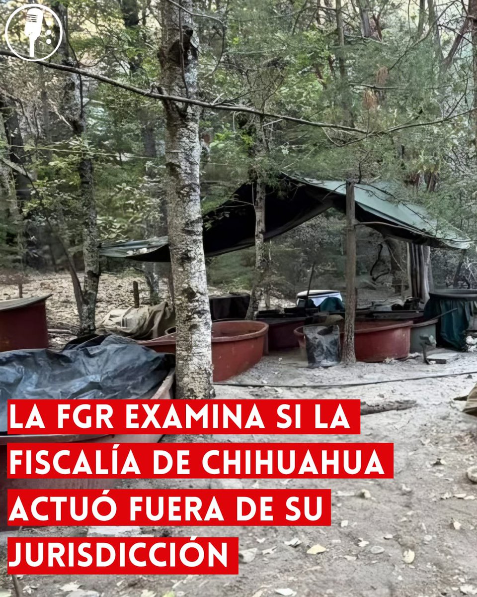 Los Reporteros MX tweet media