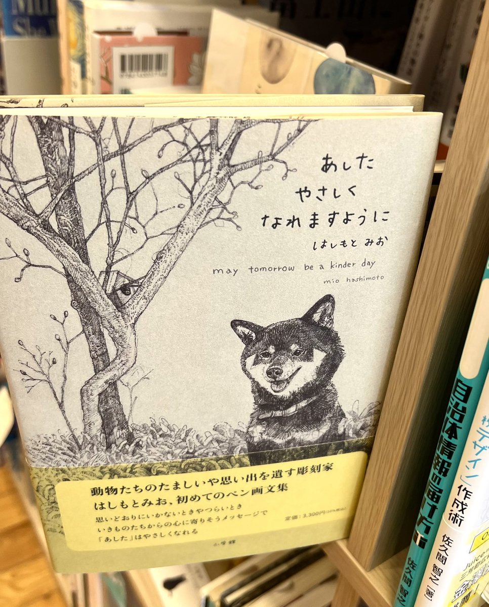 森の本屋 (@morino_honya) / Posts / X