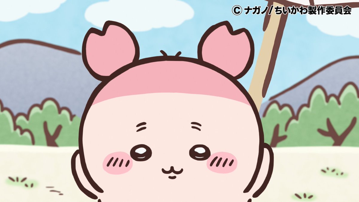 『ちいかわ』アニメ公式 tweet media