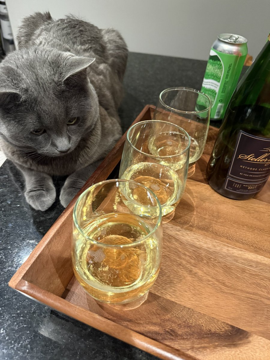 Sophie tweet media