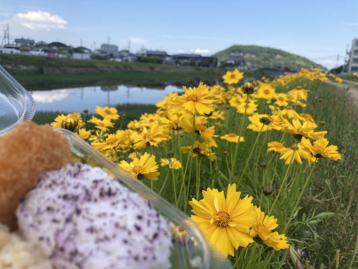 TaiOkada's tweet photo. 花ごはん！ https://t.co/owbCC9rL1U