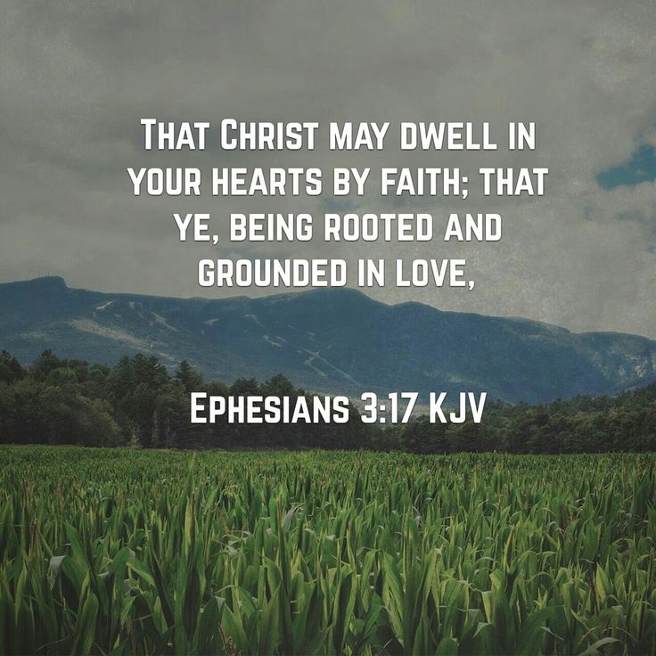 Pablo19481967's tweet photo. Ephesians 3:17 (KJV) https://t.co/n16YsNm5Kc