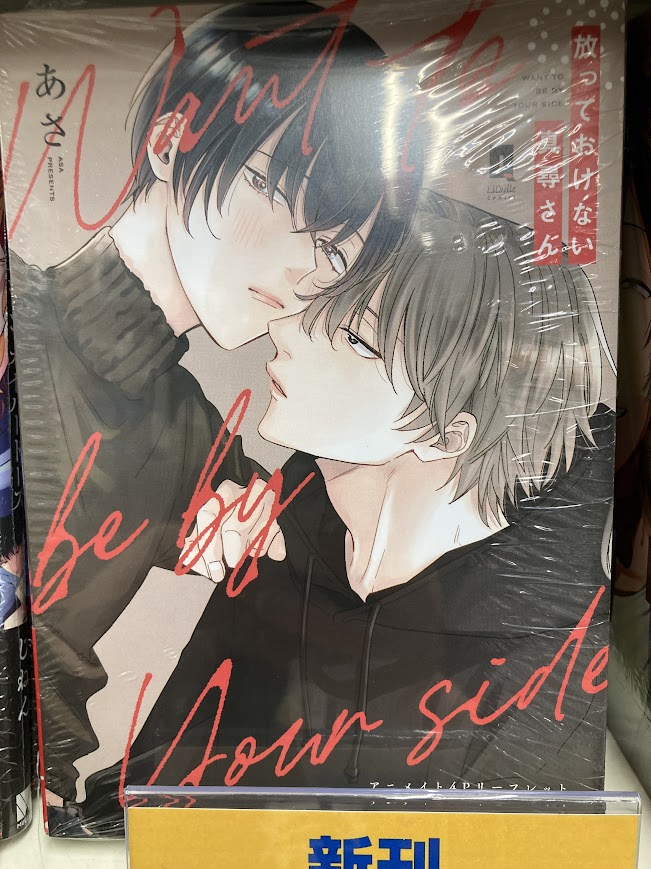 新刊入荷情報】 リキューレコミックス 「放っておけない真尋さん