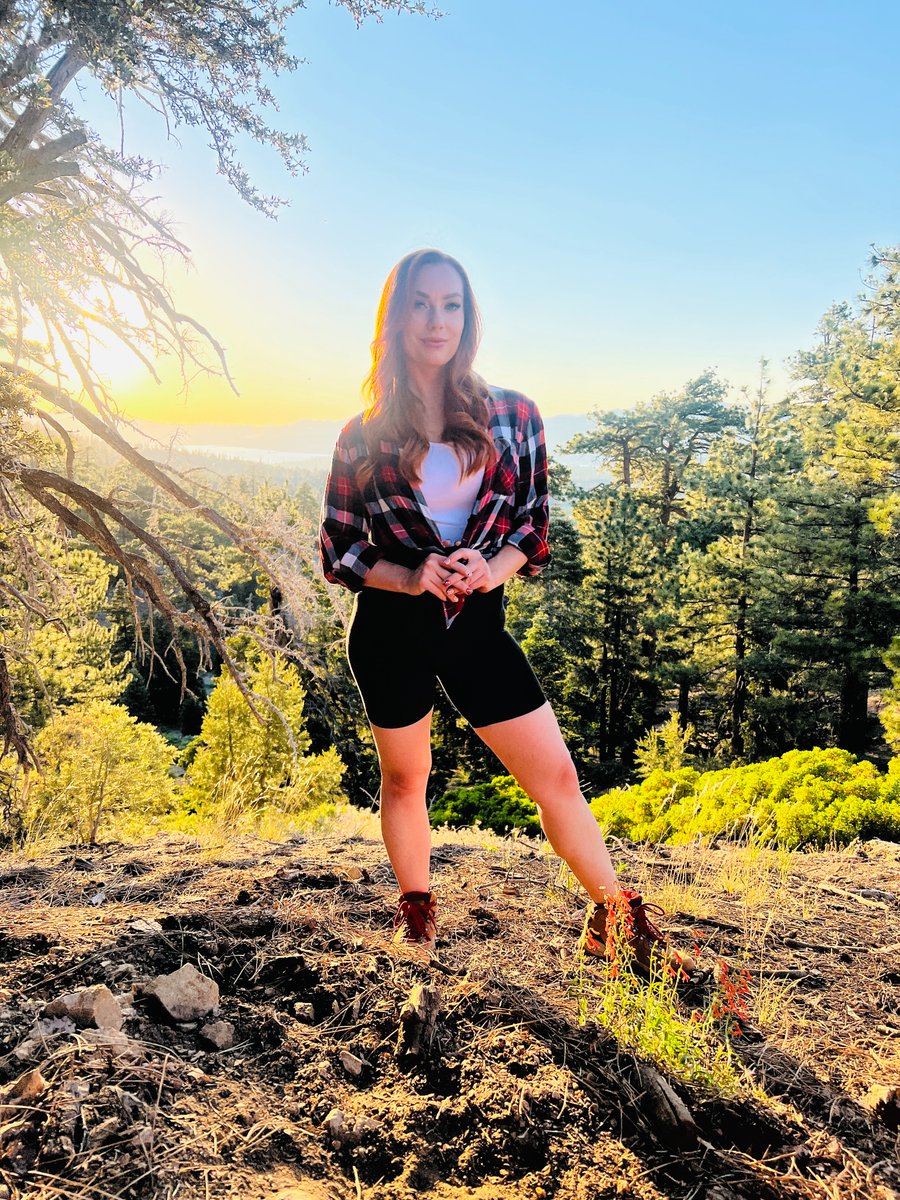 Dani Jensen tweet media