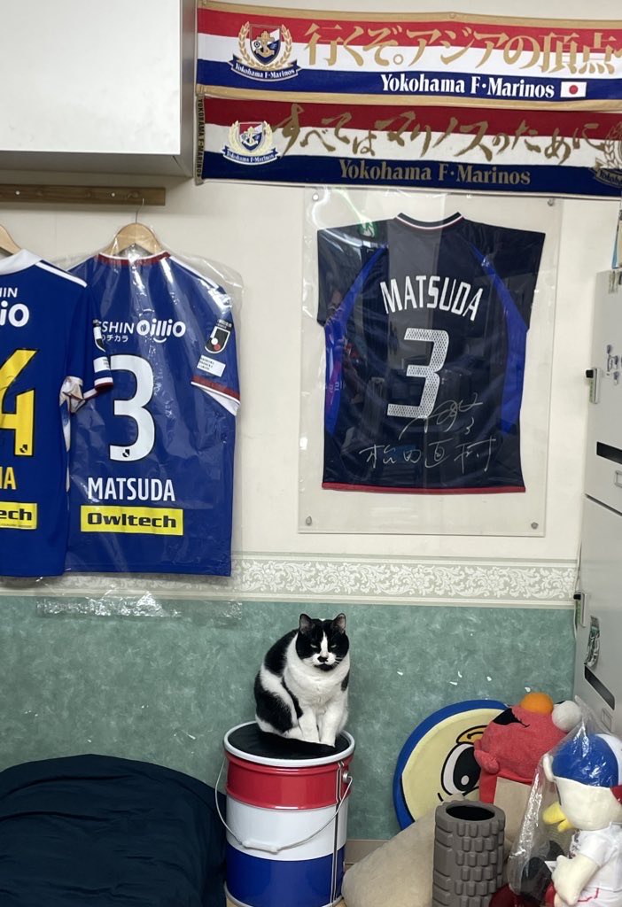 うちのこれは某🦌さんスポンサー様の所で、3333円で譲って頂いたモノ