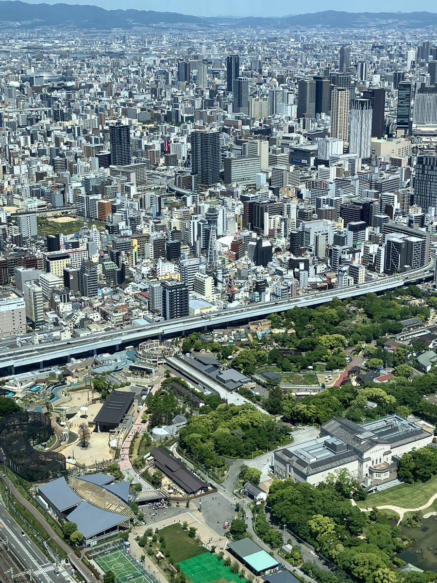 たぴたぴ tweet media