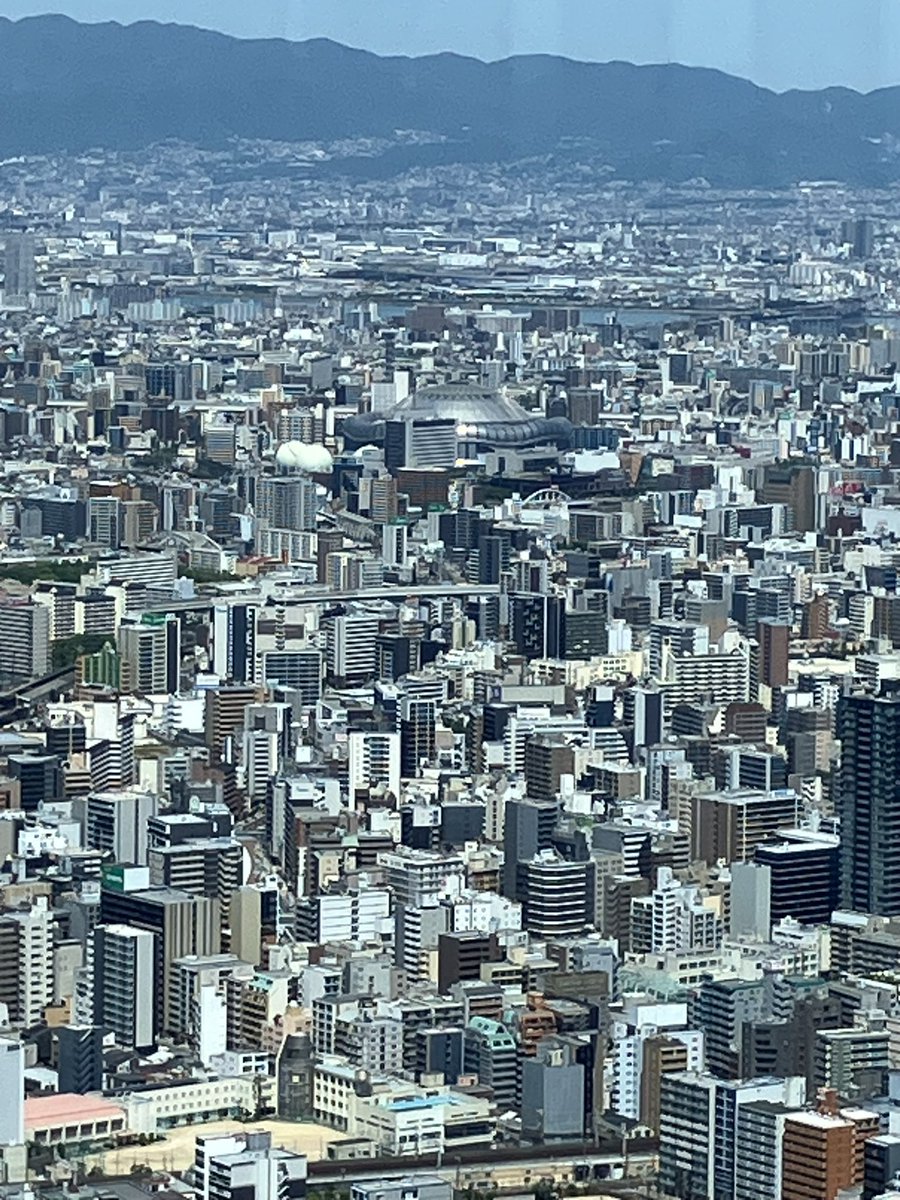 たぴたぴ tweet media