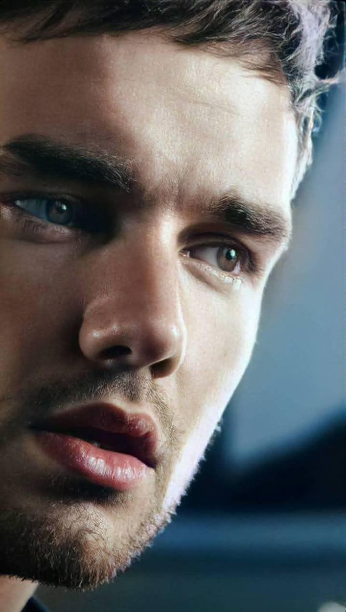 Chelle ❯❯❯❯ next to you liam ×͜× 🧸🕊️💛❤️ tweet media