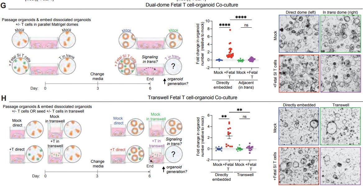 Waggoner Lab tweet media