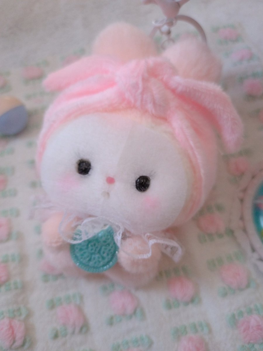 a_tan_animals's tweet photo. パックしながらでも食べちゃうの🍪

＃ぬいぐるみ
＃ぬい活 https://t.co/URDZ8cdybJ