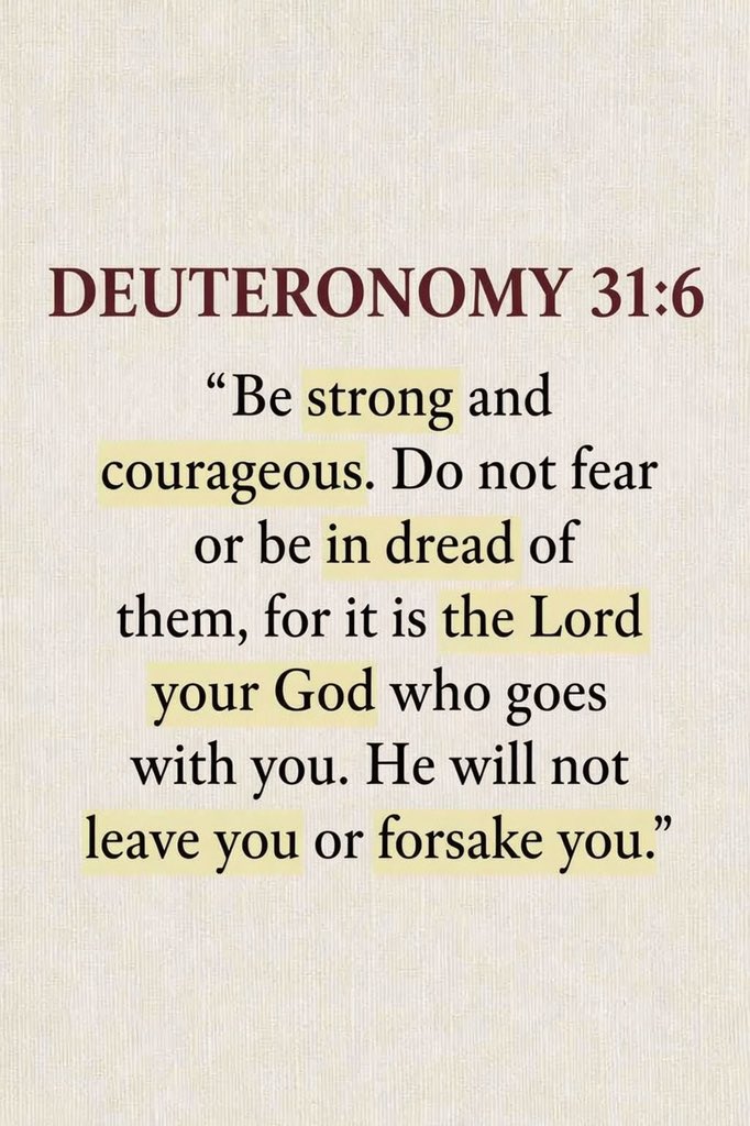 Holy Bible tweet media