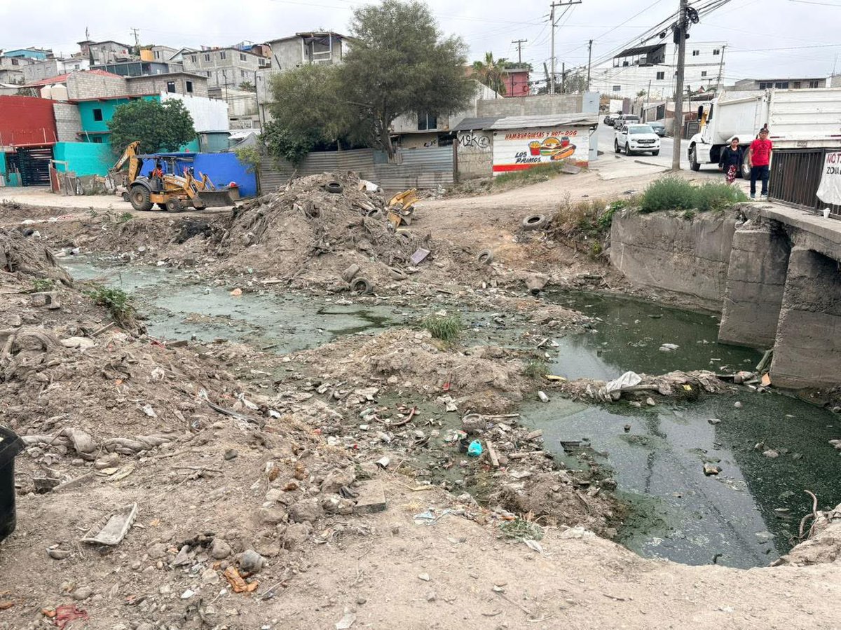 Tijuana Local tweet media