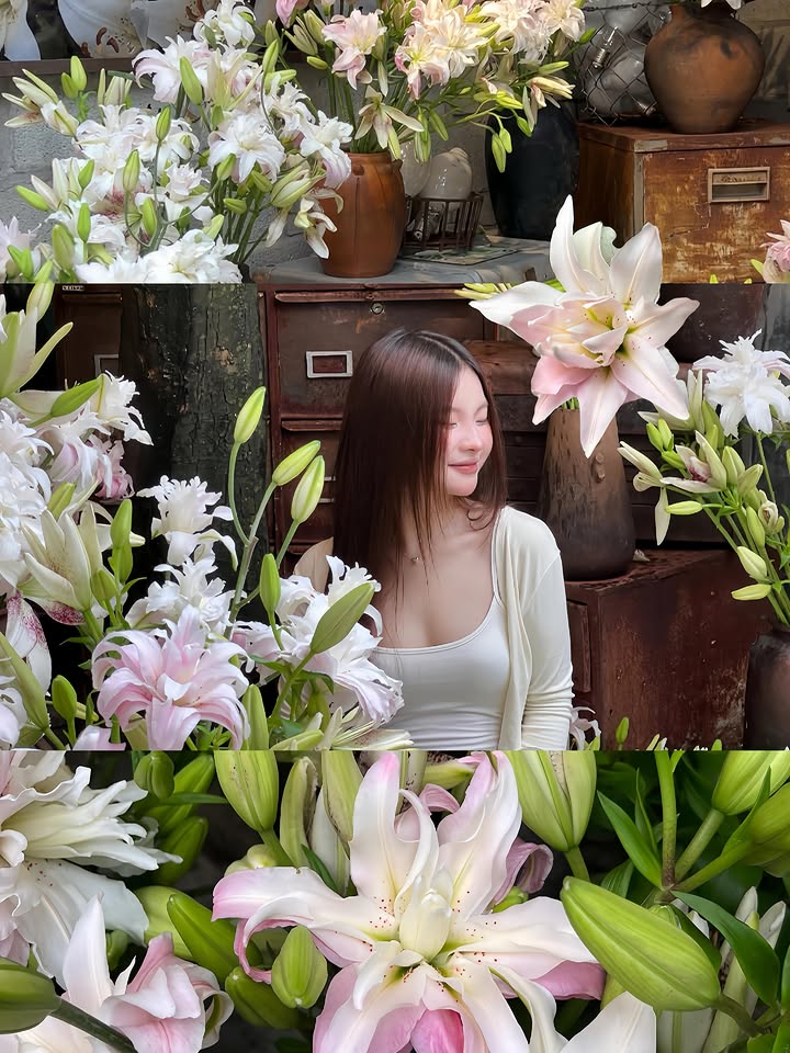Bloomify tweet media
