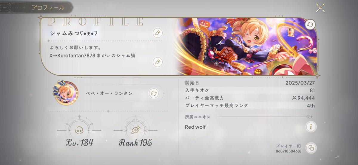 まがいのシャム猫 tweet media