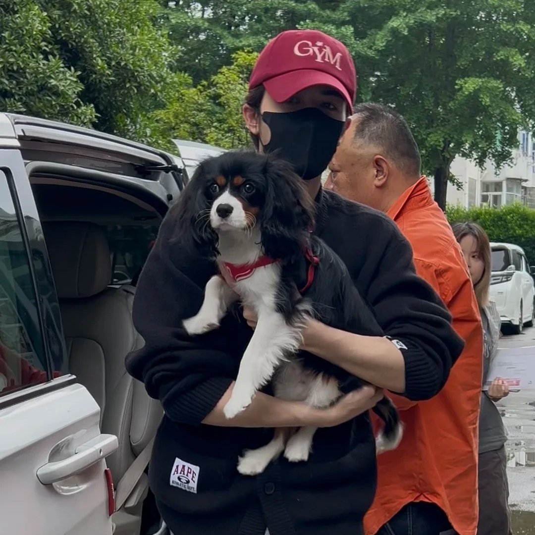 ryrybnc's tweet photo. นิคไม่ได้ตุวโตนะ ก็ตุวเท่าเดิมพี่แพทอุ้มได้เหมือนเดิมเลย
 🐶✌️🏻 https://t.co/yAL7UDCZUb