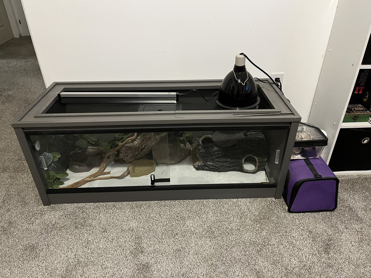 tarantulautistic 🕷️ tweet media