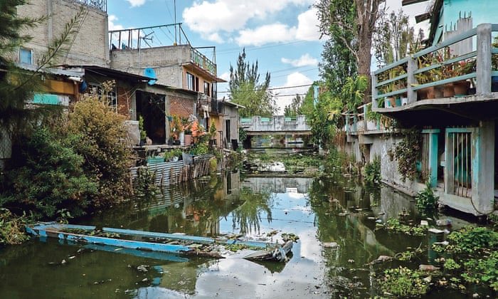 AxelArano's tweet photo. Se imaginan el dineral invertido en pintar, imprimir, modelar etc ajolotes por toda la ciudad, invertido aquí 👇🏽
en estos canales podridos donde vivían los ajolotes. https://t.co/dAi8opN2dA