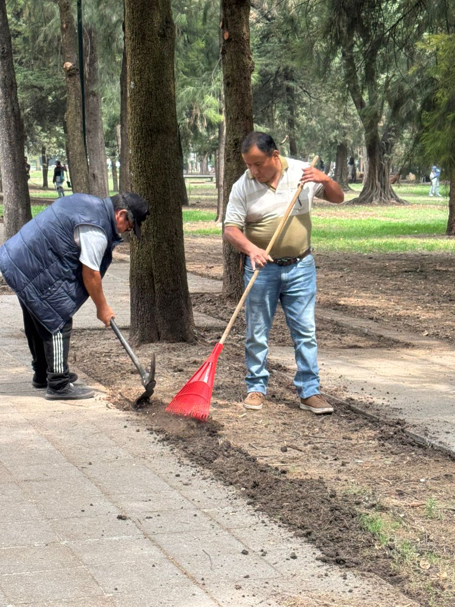 Bosque De Chapultepec tweet media