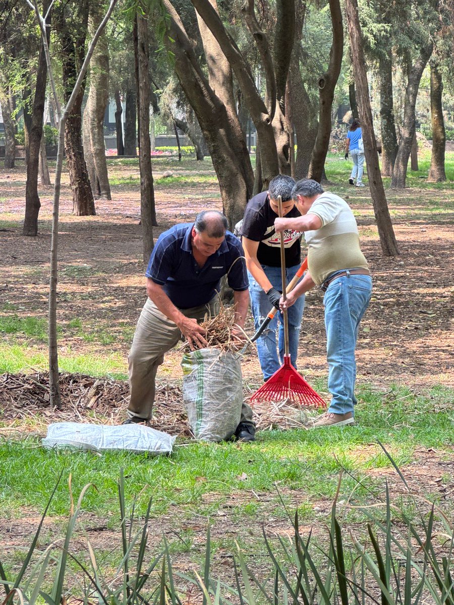 Bosque De Chapultepec tweet media