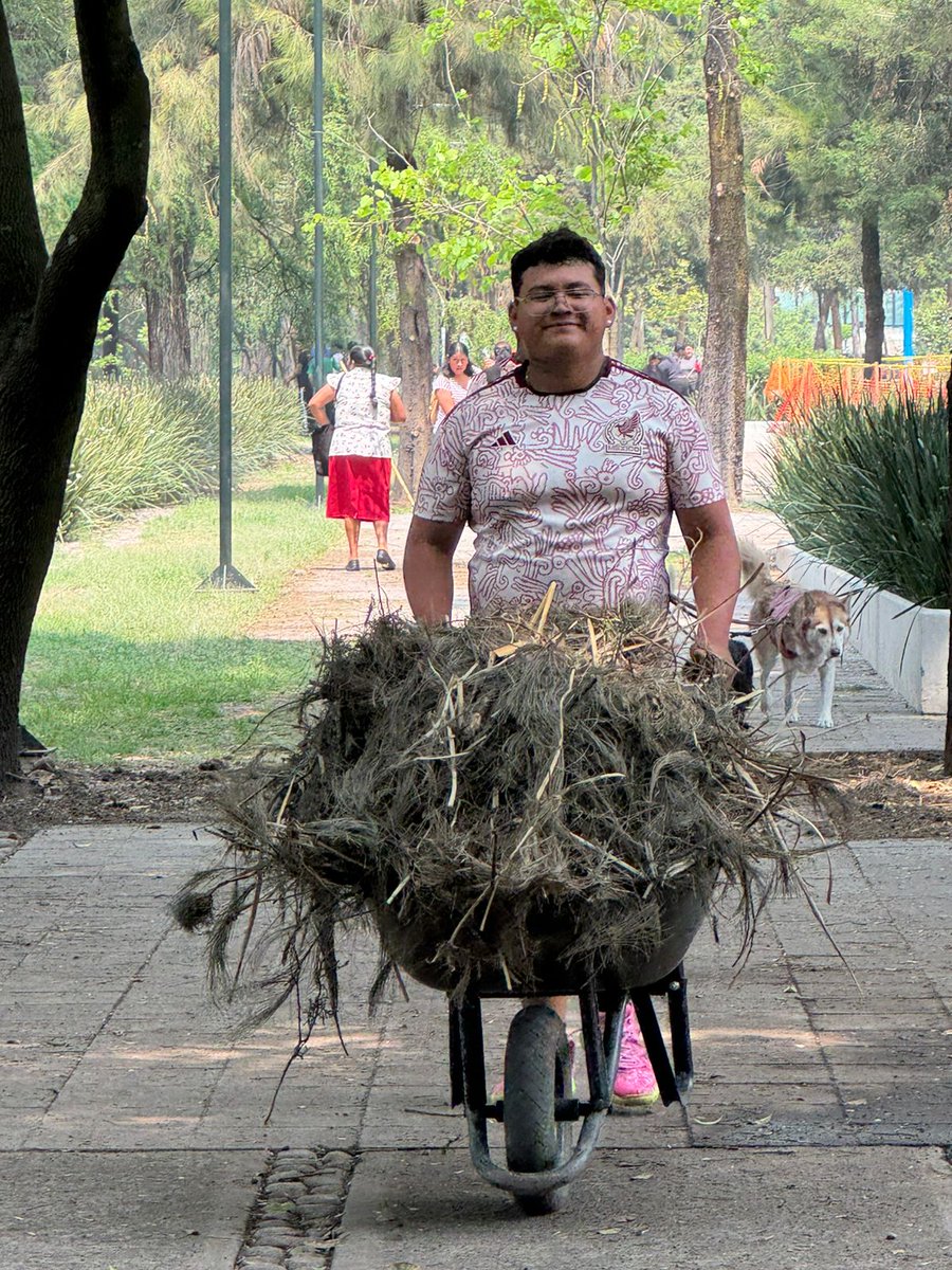 Bosque De Chapultepec tweet media