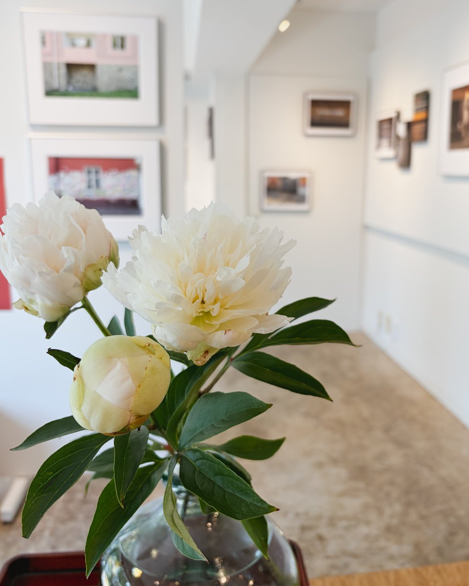 NADAR_TOKYO's tweet photo. 5/14（木）本日もオープンしています。昨日より、茂木智行写真展「Trains Left.」を開催。一見、何だろう？と思う写真たちや、何気なく通り過ぎ忘れ去られてしまいそうな瞬間が、作者の眼差しで再び見出され展示されることによって新たな景色を示してくれているように思います。ぜひご覧ください。 https://t.co/ETcPElNIwE