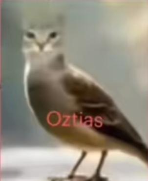 GatoGamerpico's tweet photo. @anitatiwtf_ Ni gótica eres y aparte tienes la cara más golpeable y de retrasada mental que he visto https://t.co/QIINajd562