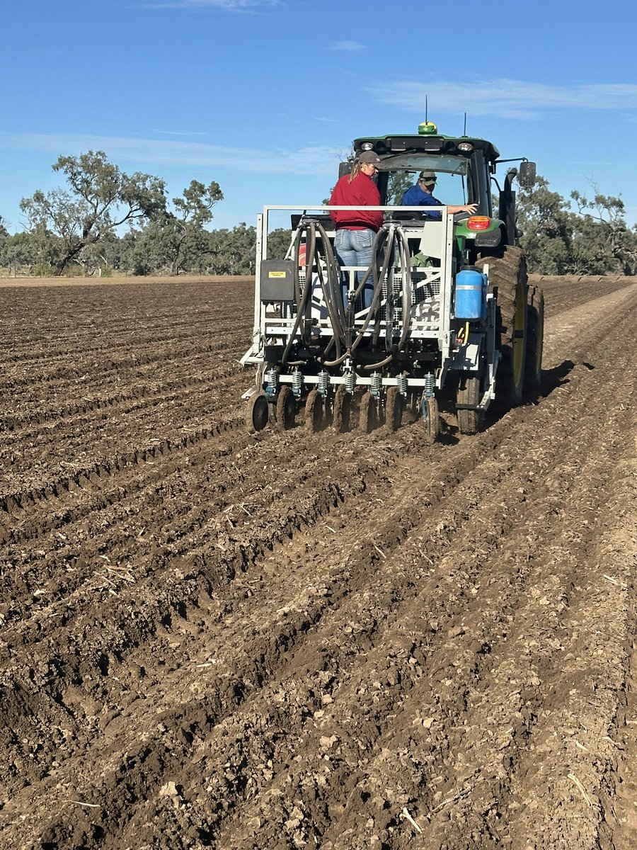 OutlookAg's tweet photo. Wheat and faba bean trials planted 👌#wintercroptrials2026 #agronomytrials #outlookagresearch https://t.co/rFEjgkfFa2