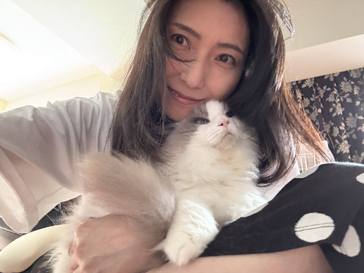 樹里(JJ) tweet media