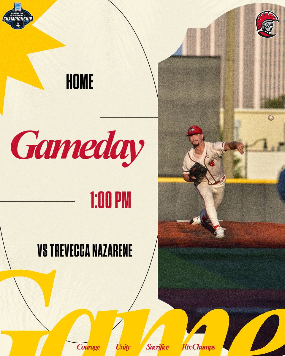 Tampa Baseball tweet media