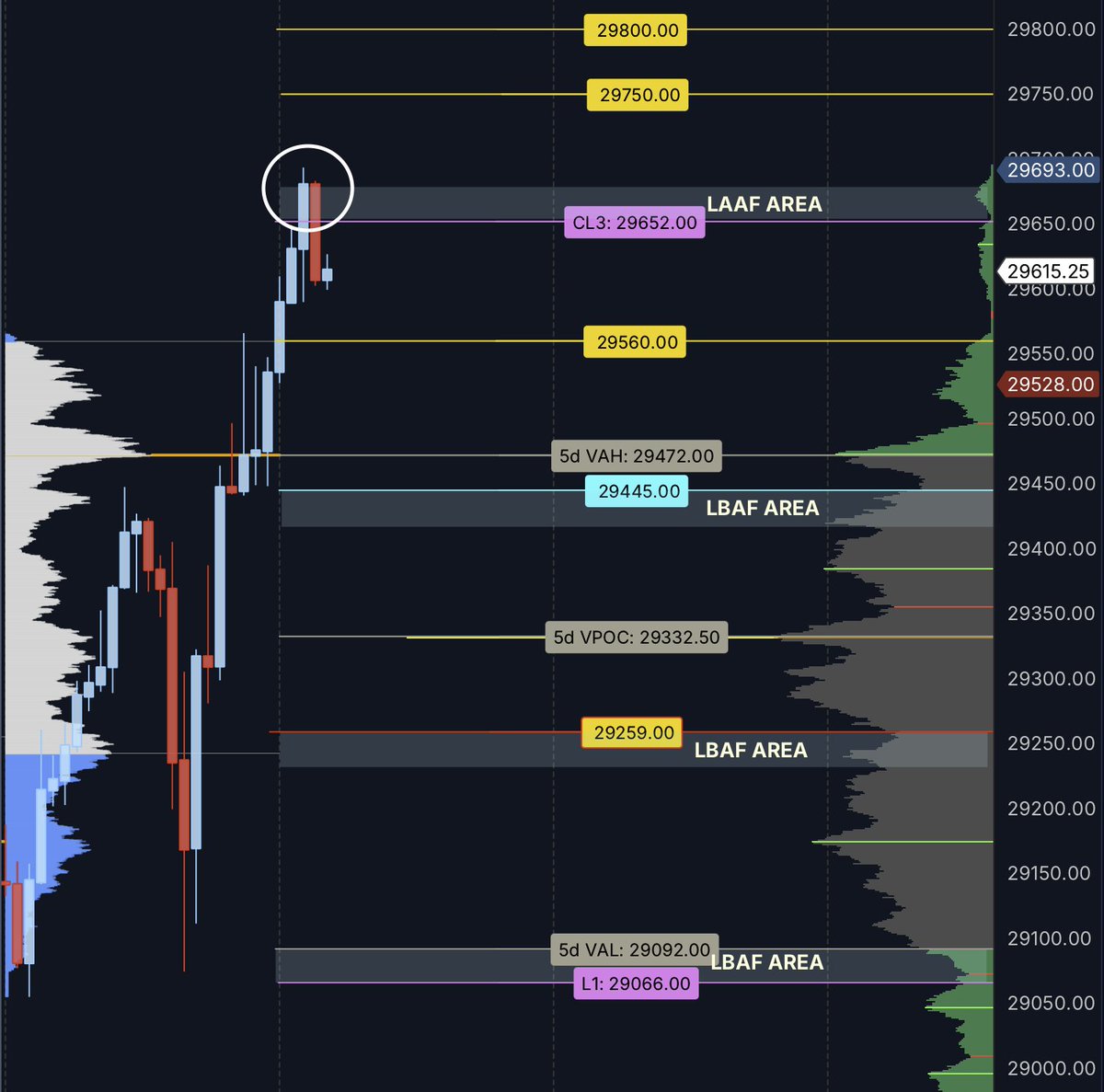 AlsoNickBane's tweet photo. Open drive for ETH and then we got the LAAF at the Combo L3 GEX level. We'll see if Wednesday RTH VAH can hold as support at 29560. Holding support there or even down at the 5d VAH 29472 will signify strength and continuation upwards. Sellers need to get back into the 5day value area in order to have a chance at anything.