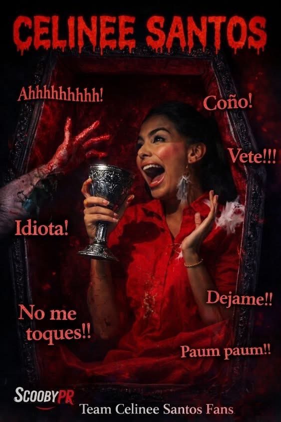 Franca Provinzano tweet media