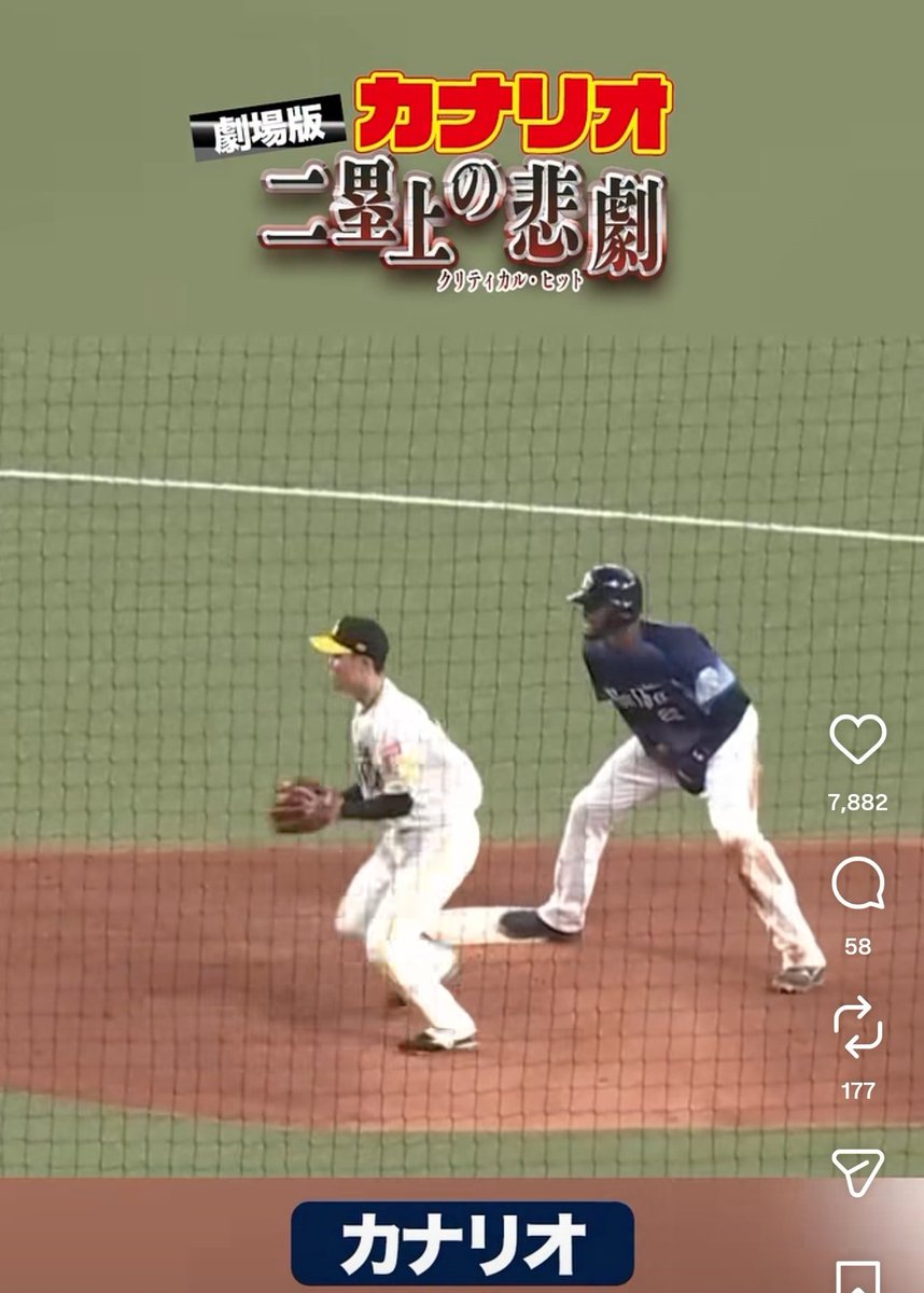 マツワタニキ tweet media