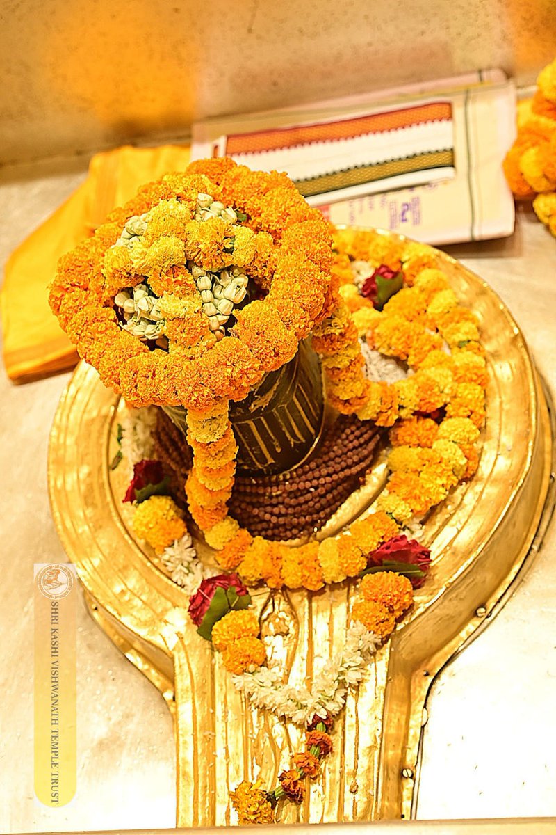 Shri Kashi Vishwanath Temple Trust tweet media